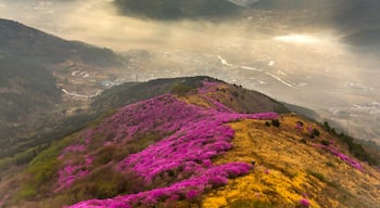 ซามิล-ทง, ยอซู, South Jeolla, เกาหลีใต้