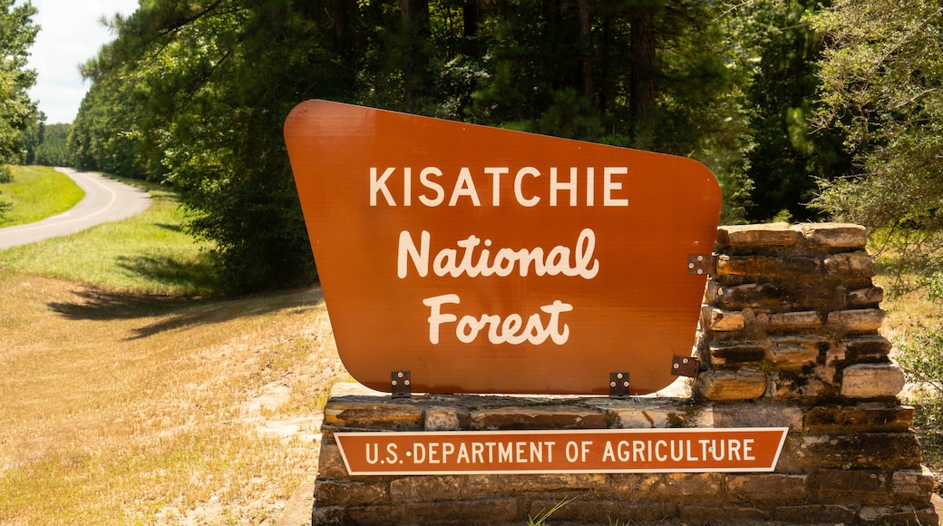 Kisatchie National Forest