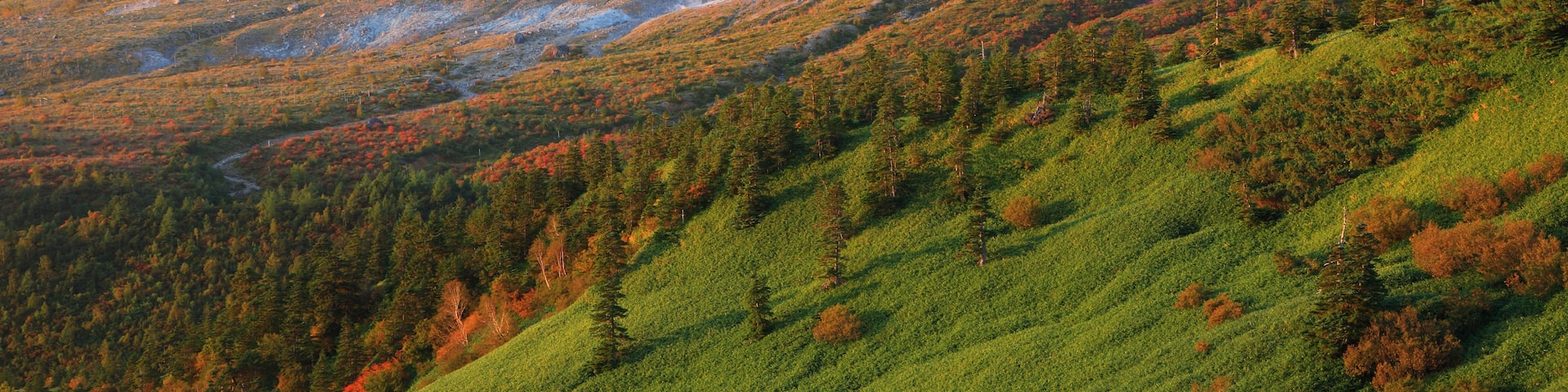Tsumagoi, Gunma (prefectura), Japón