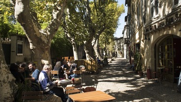 Avignoni