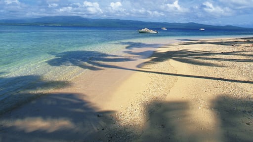 Qamea Island
