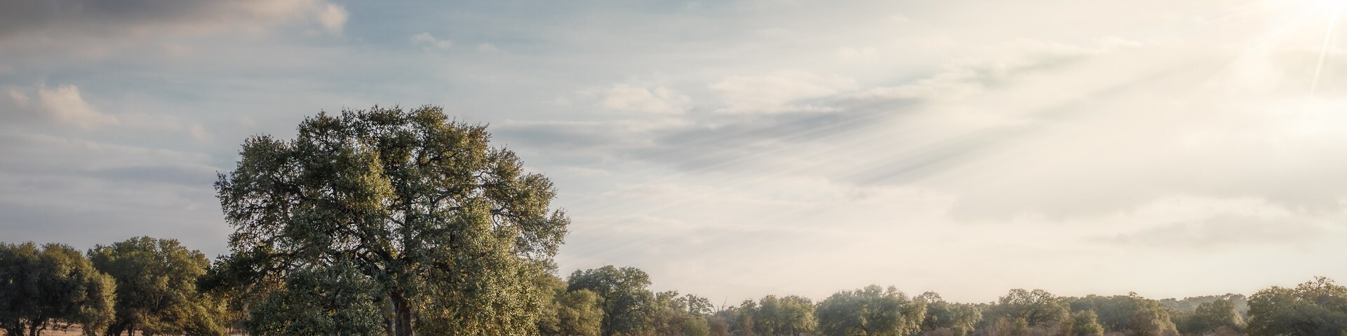 滴水泉市, 德克薩斯, 美國