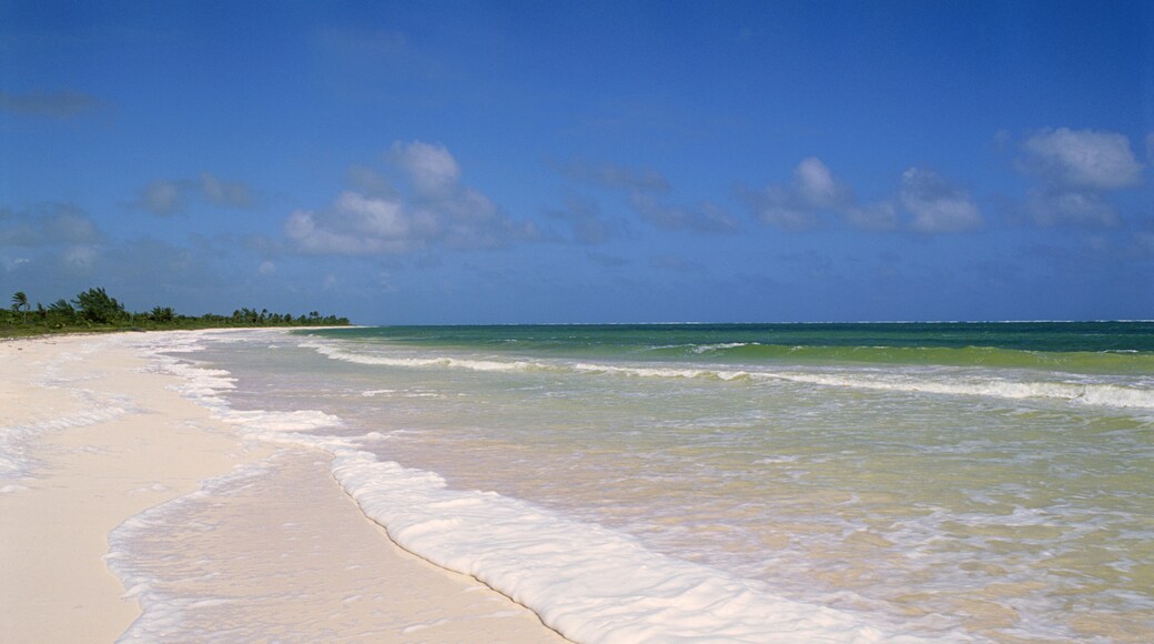 Playa del Carmen Centro, Playa del Carmen, Quintana Roo, Mexico