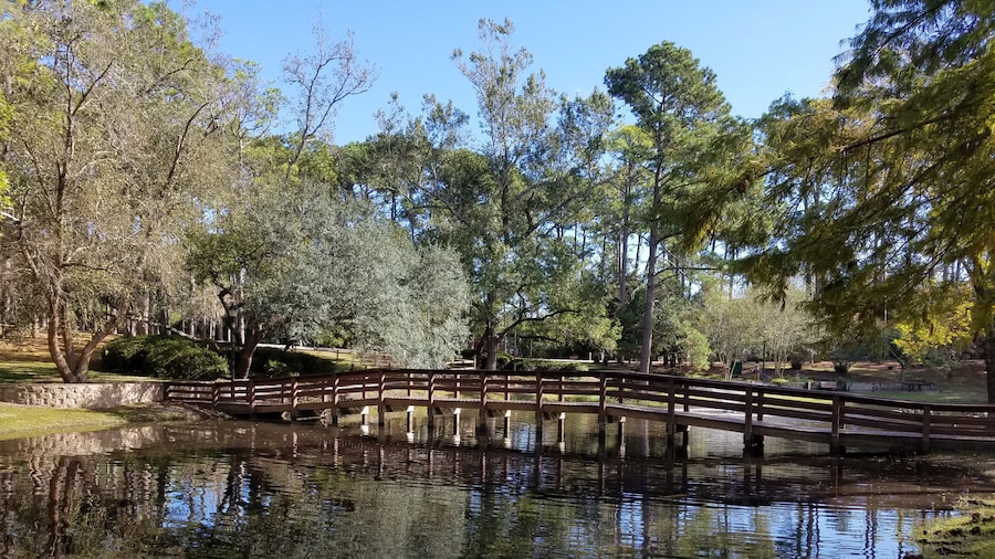 Long Leaf Park