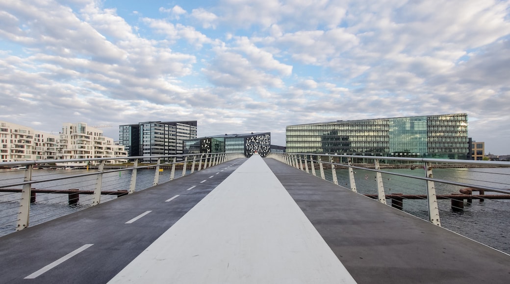 Vesterbro, Kopenhagen, Hovedstaden, Denemarken