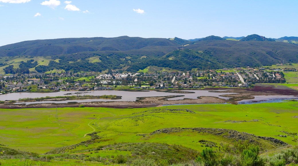 Parque Laguna Lake