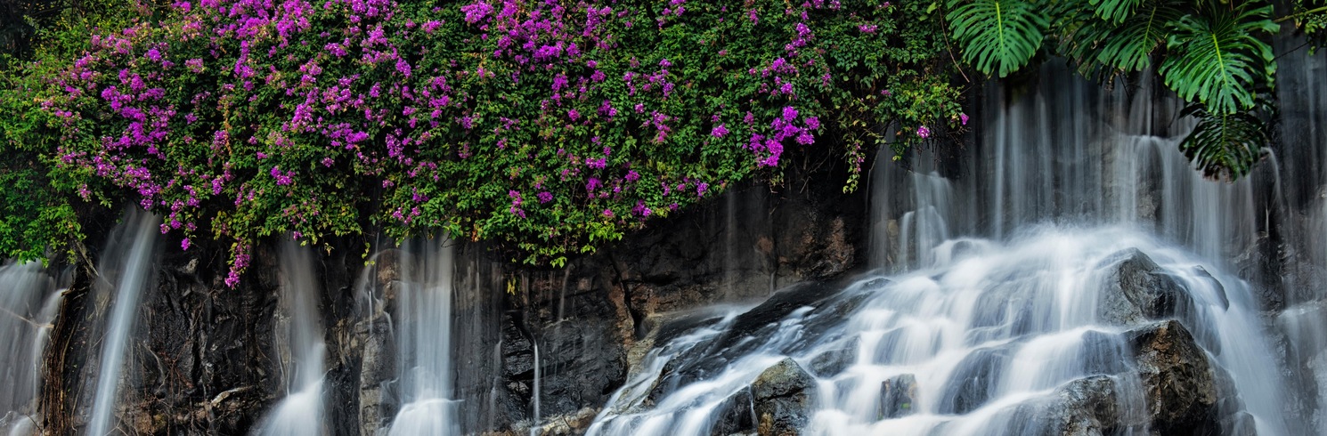 Makena, Hawaii, United States of America