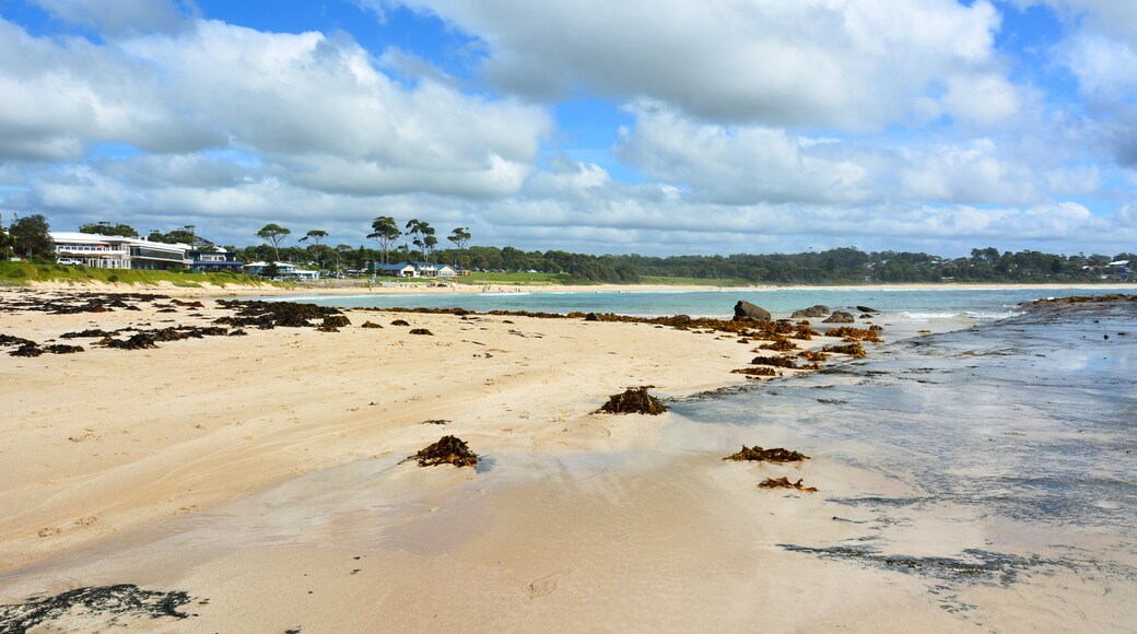 Mollymook Beach