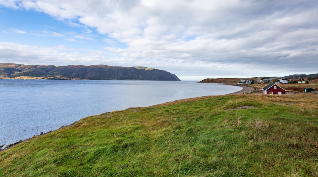 Gros Morne National Park