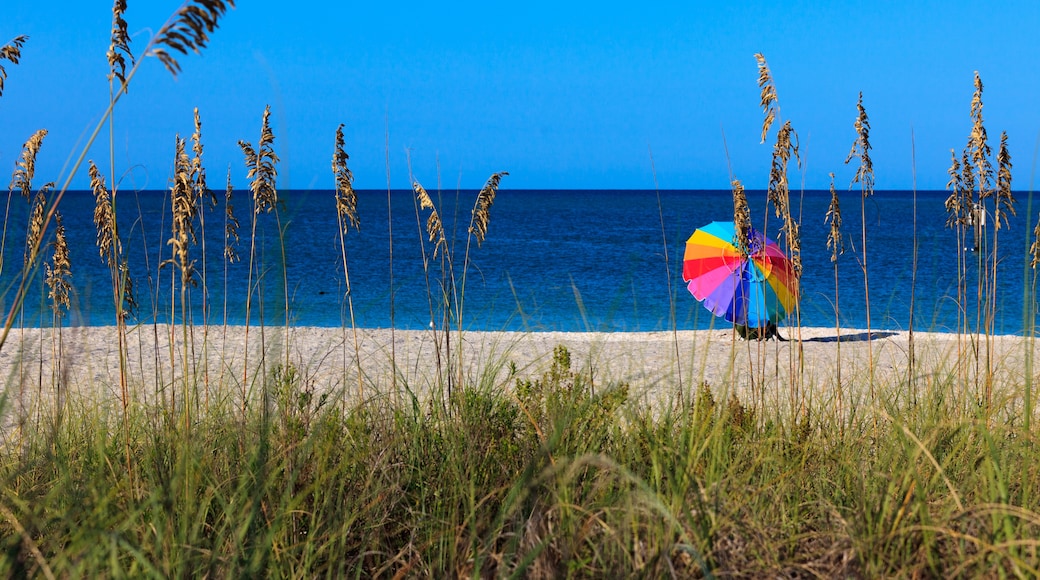 Playa de Englewood, Englewood, Florida, Estados Unidos