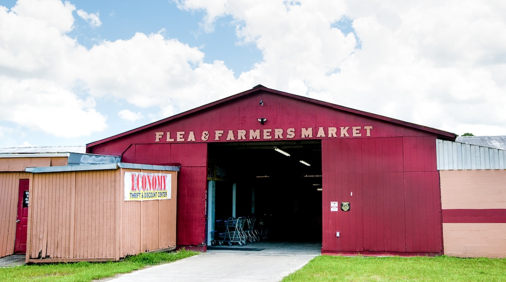 Pecan Park Flea and Farmers' Market, Jacksonville, Florida, United States of America