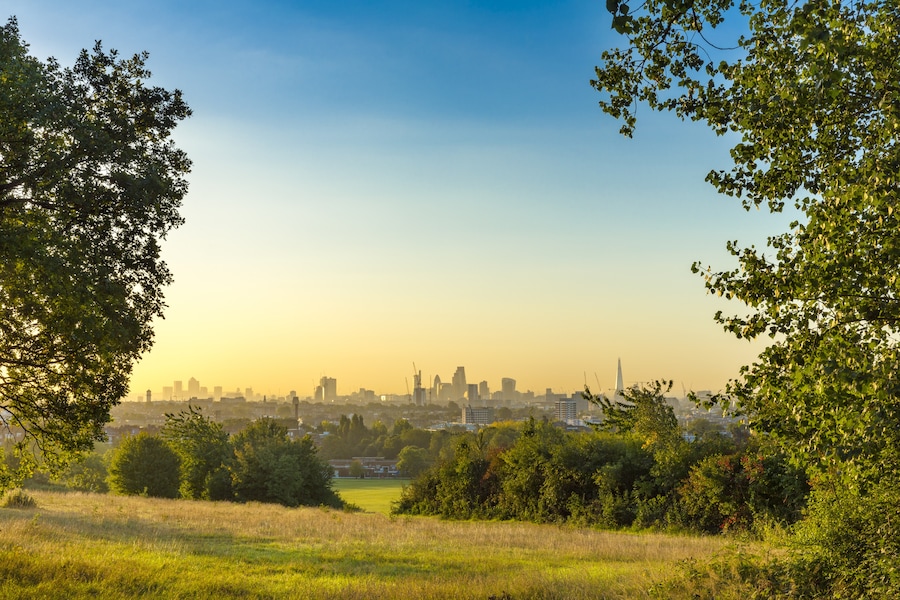 Panoramic view of London skyline from Hampstead Heath surrounded by greenery.