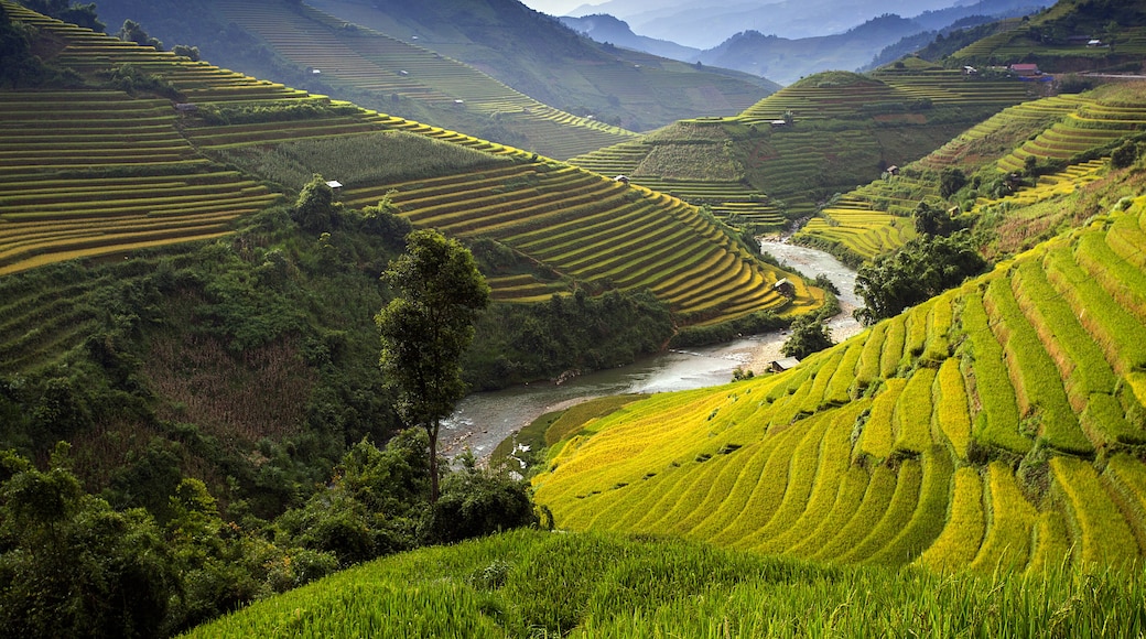 Mu Cang Chai, Yen Bai Province, Vietnam