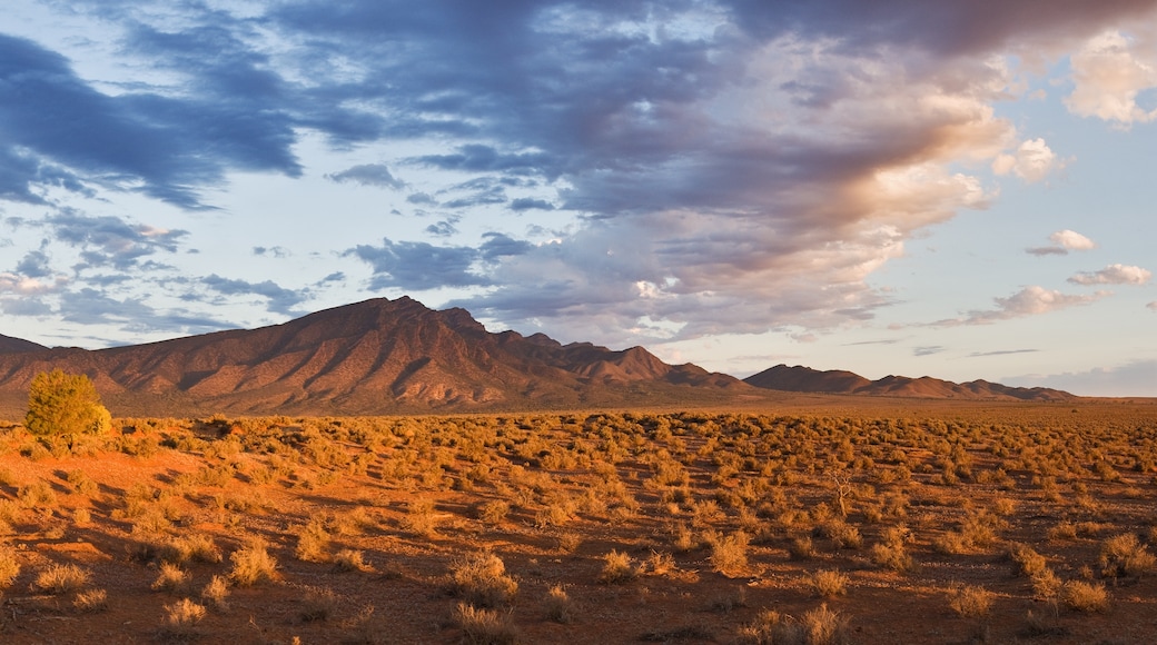 Wilpena Pound Resort