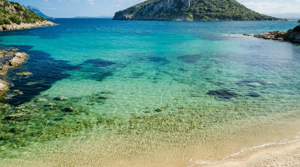 Golfo Aranci, Sardinia, Ý