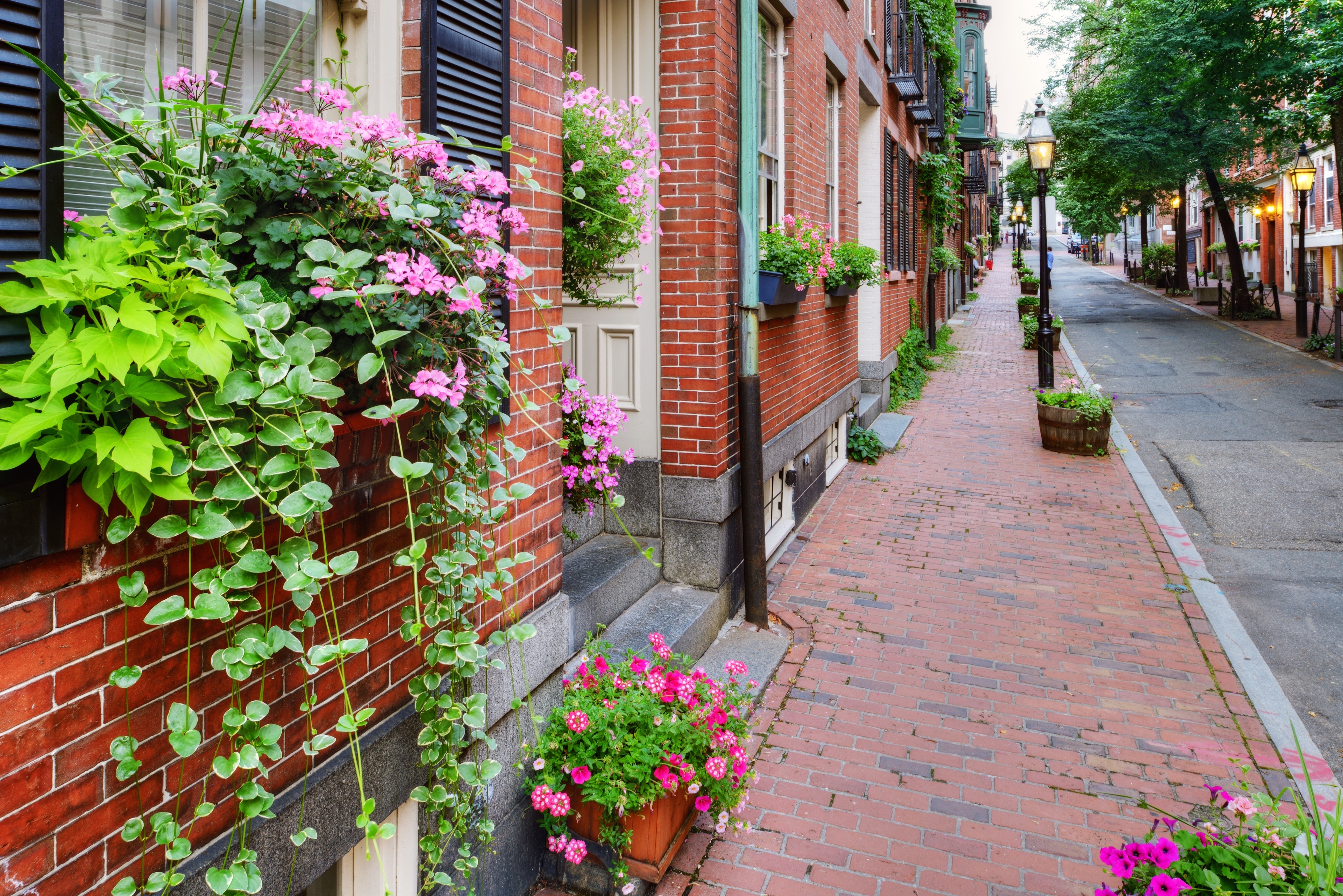 Beacon Hill Historic Houses Tour (Self Guided), Boston, Massachusetts