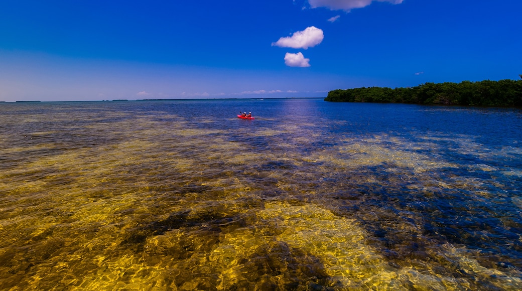 Lower Keys, Florida, United States of America