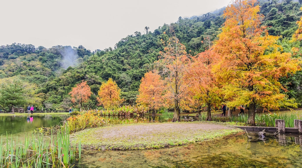 蓬萊溪自然生態園區, 南庄, 台灣