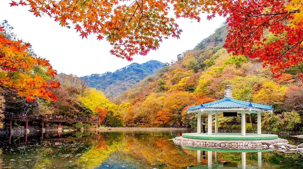 내장산국립공원