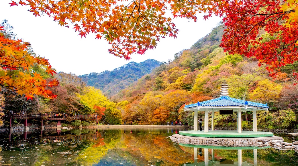 Parque Nacional de Naejangsan