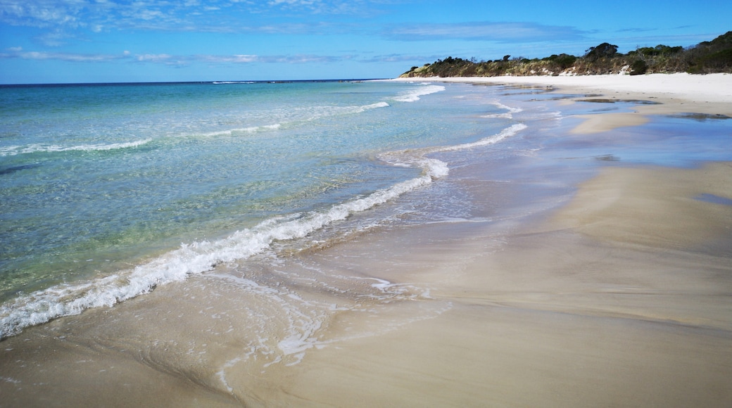 姐妹海灘, 瓦拉塔-溫亞政府, 塔斯曼尼亞, 澳洲
