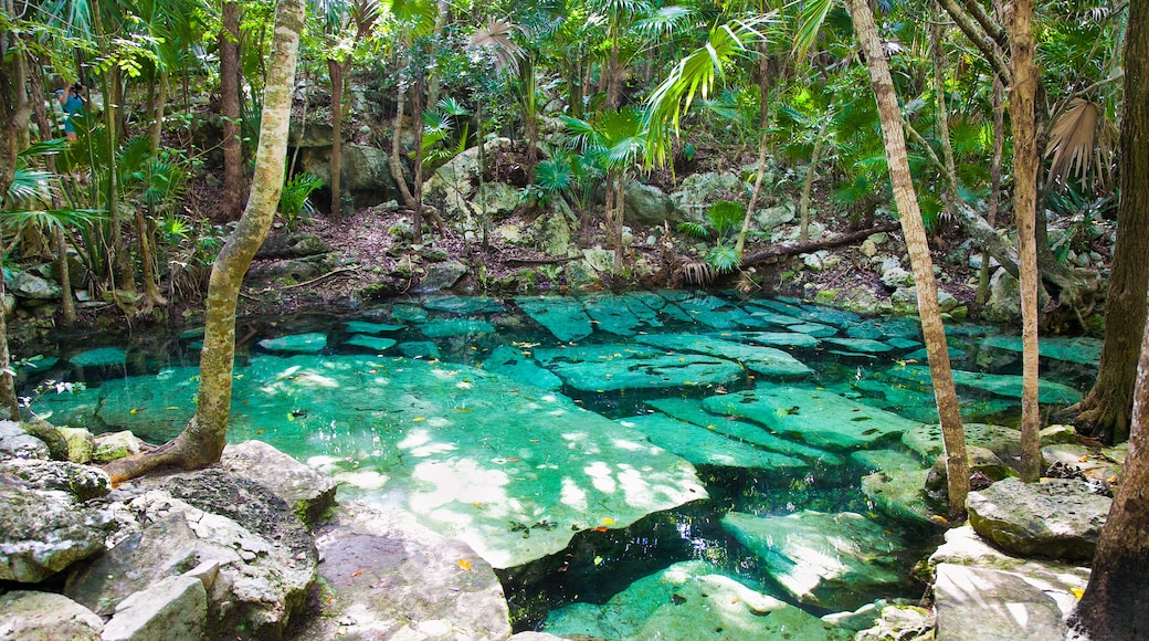 Cenote Azul, Xpu-Ha, Quintana Roo, Mexico
