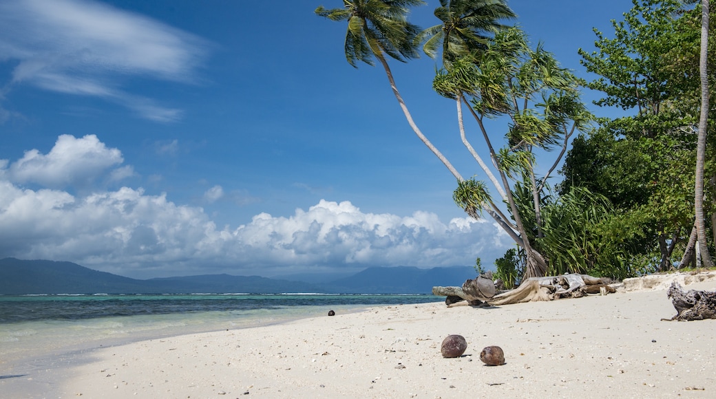 Munda, Western Province, Solomon Islands