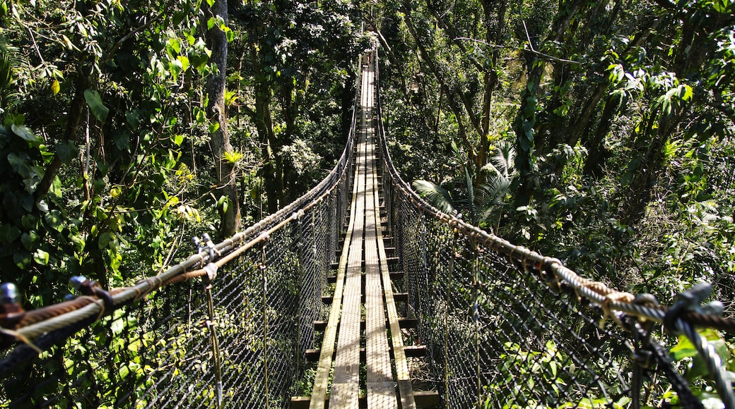 Basse-Terre Island