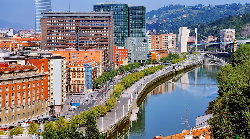 Zubizuri Bridge, Bilbao, Basque Country, Spain