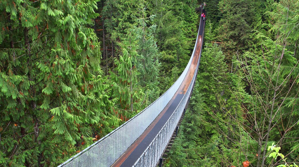 Ponte sospeso Capilano, North Vancouver (distretto), Columbia Britannica, Canada