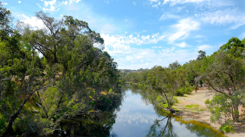 Shire of Bridgetown-Greenbushes, Western Australia, Australia