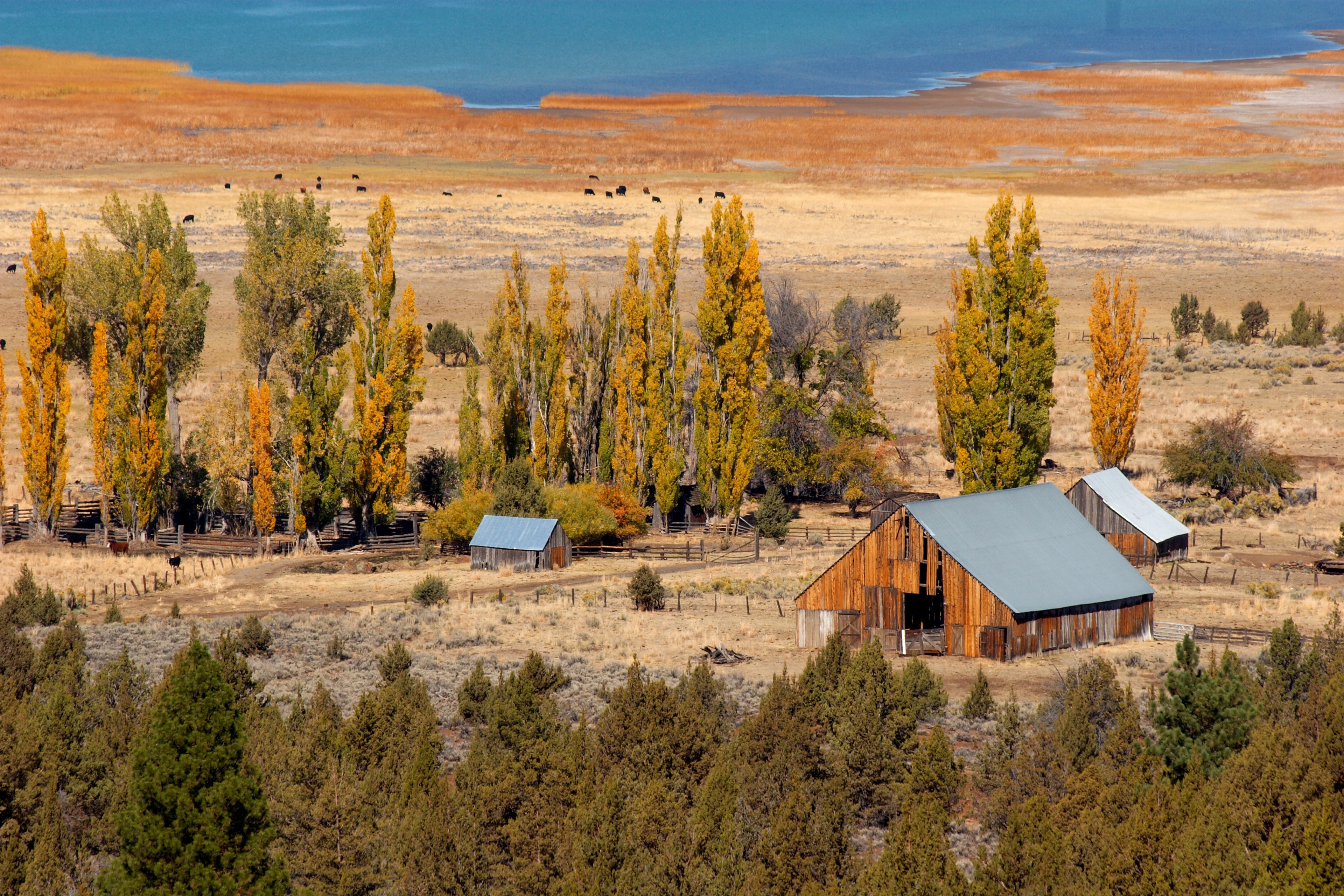 Fish Traveler Guide Service, Eagle Lake, CA