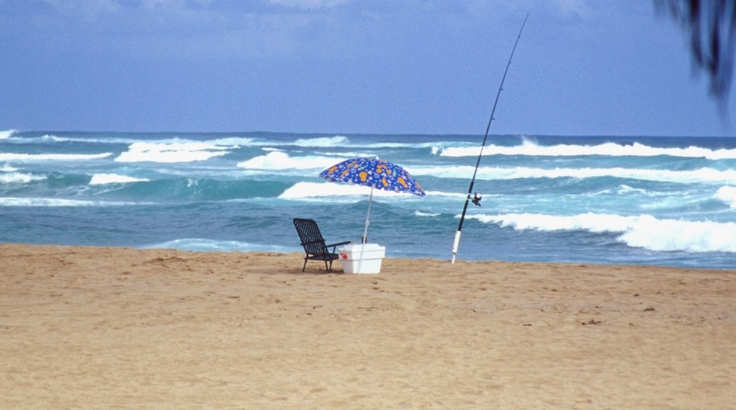 Spiaggia di Lydgate