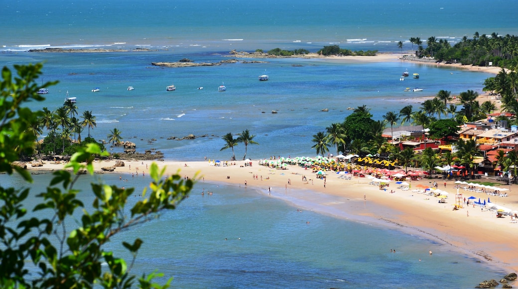 Costa do Dendê