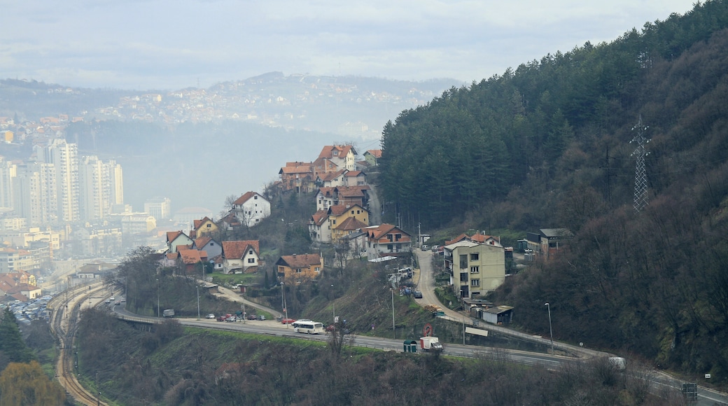 Zlatibor