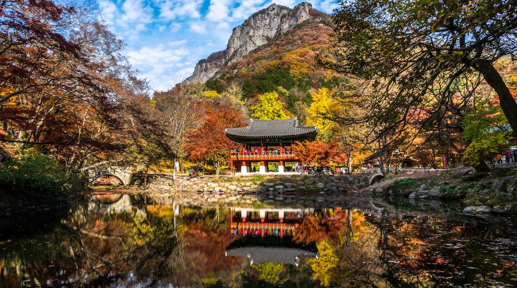 Baegyangsa Temple