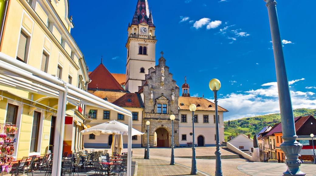 Comitat de Krapina-Zagorje