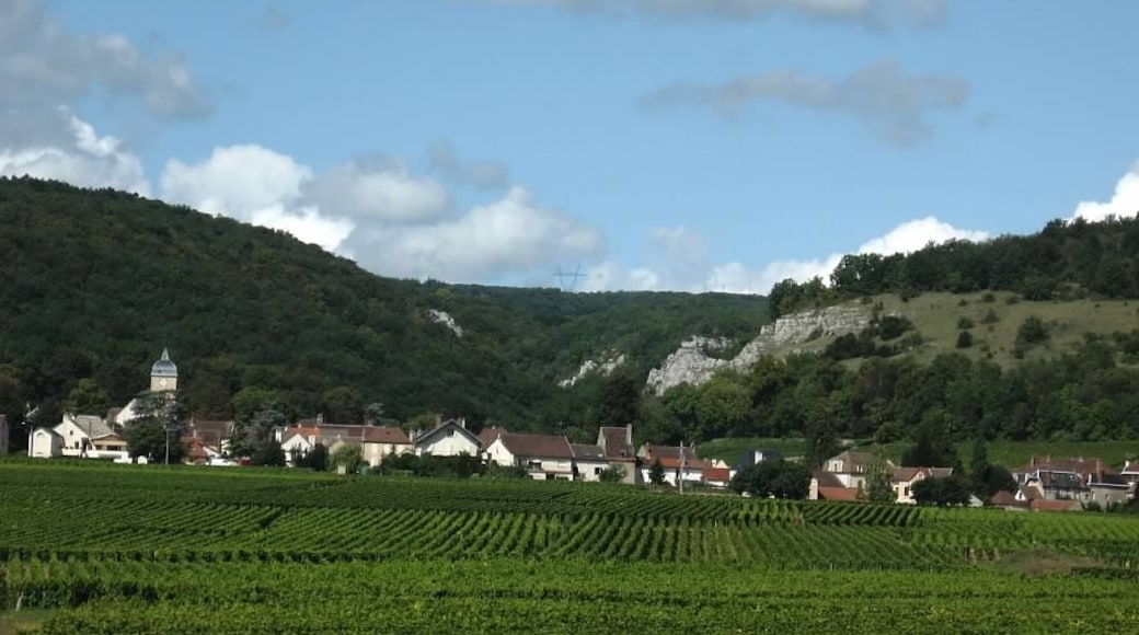 Abdij van Vézelay