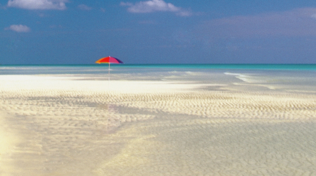 Lucayan National Park