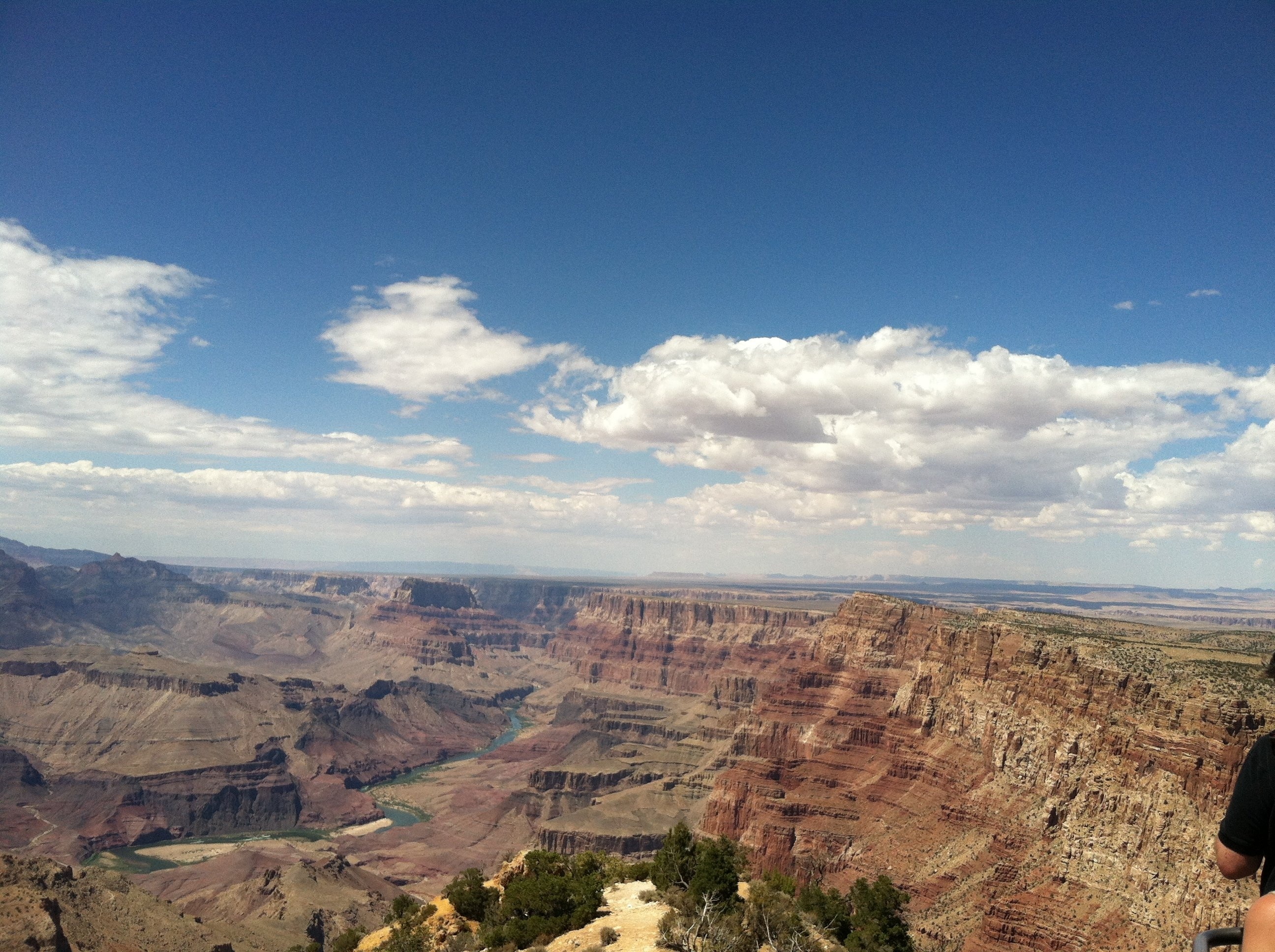 are dogs allowed at grand canyon national park