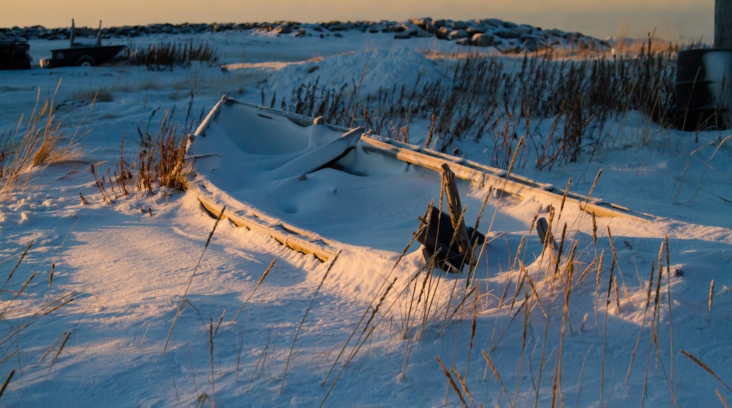 Kotzebue