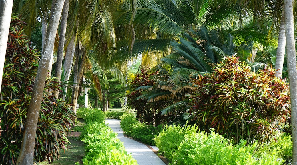 Isla Mucura