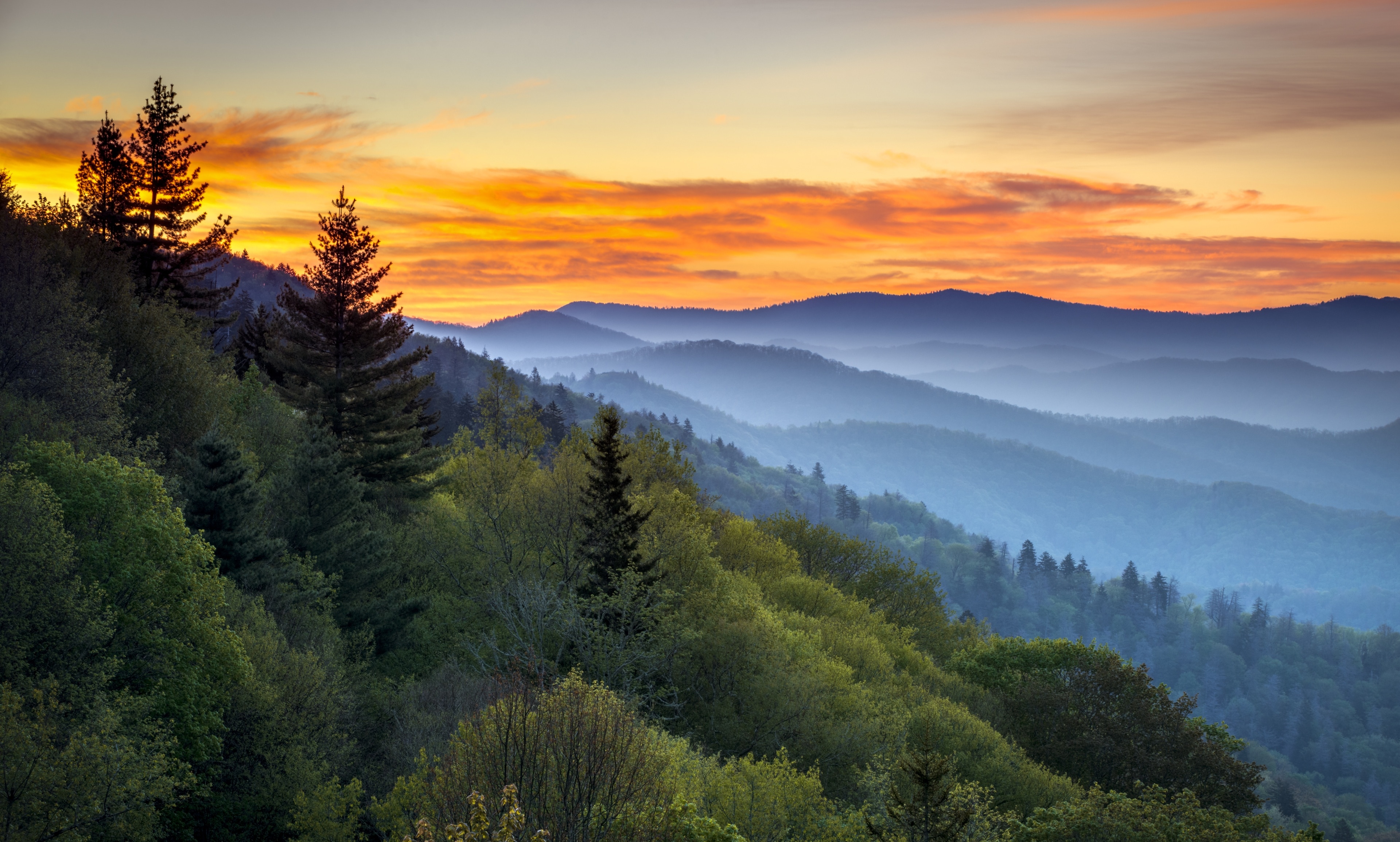 Gatlinburg TN Vacation Rentals Cabin Rentals More Vrbo