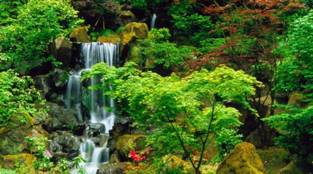 Portland Japanese Garden, Portland, Oregon, Yhdysvallat