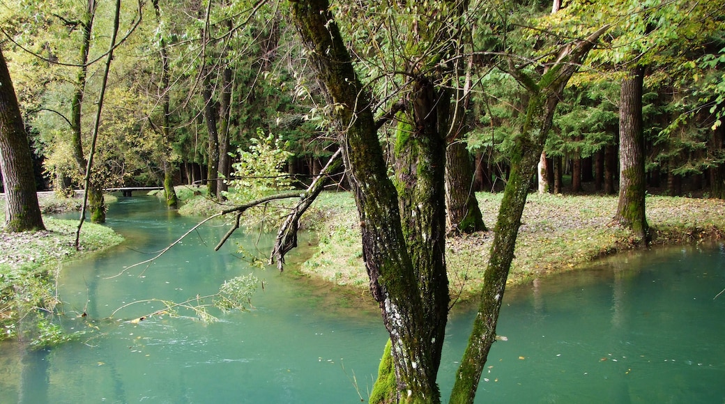 Rakovica