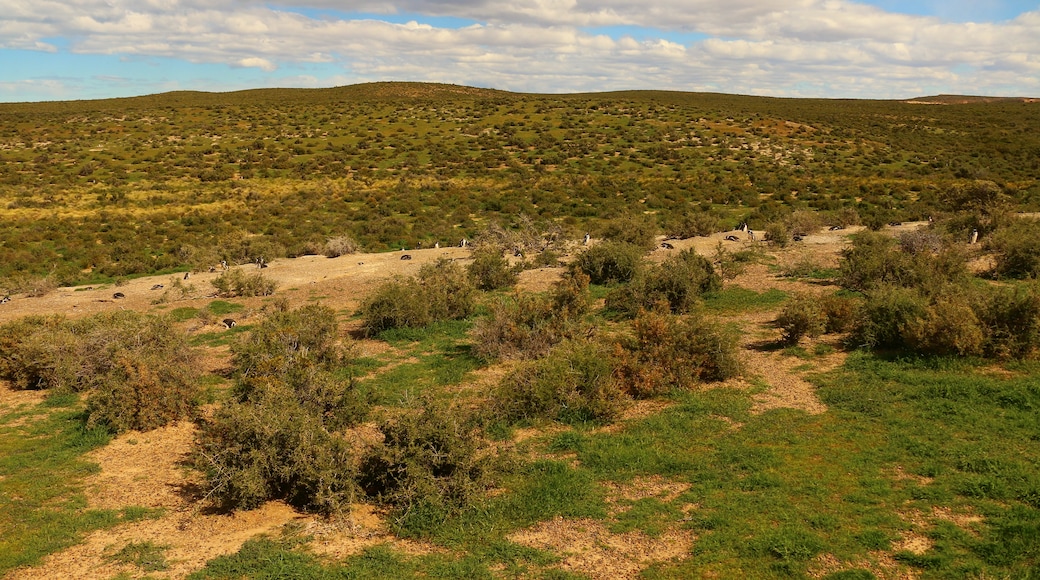 Ituzaingo