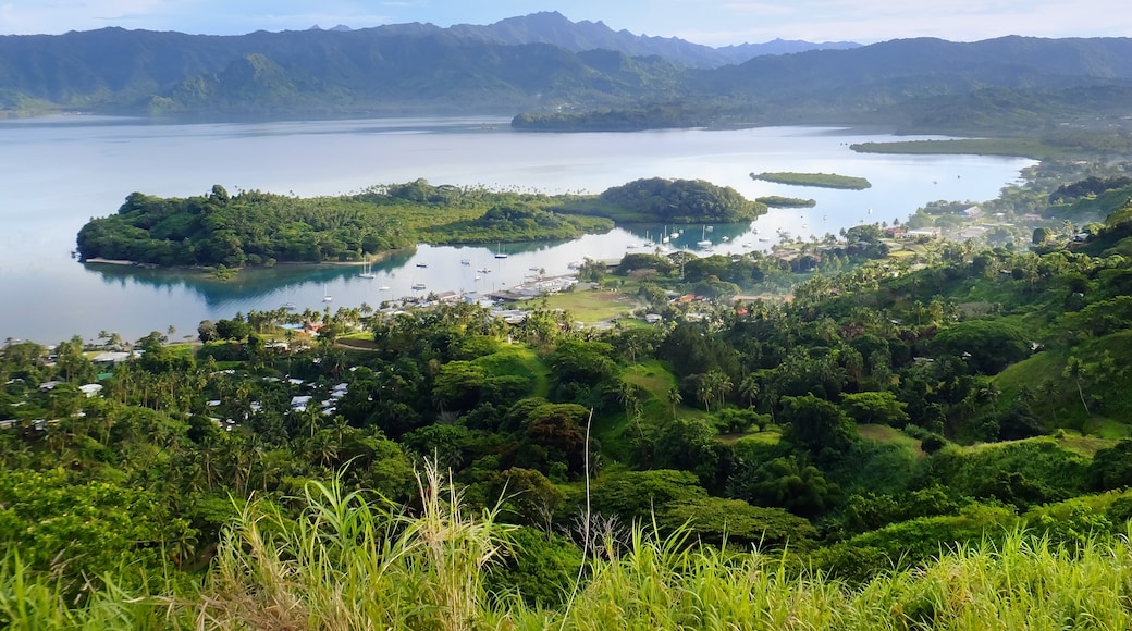 Savusavu