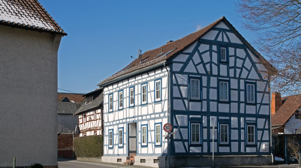 Rhein-Taunus Nature Park