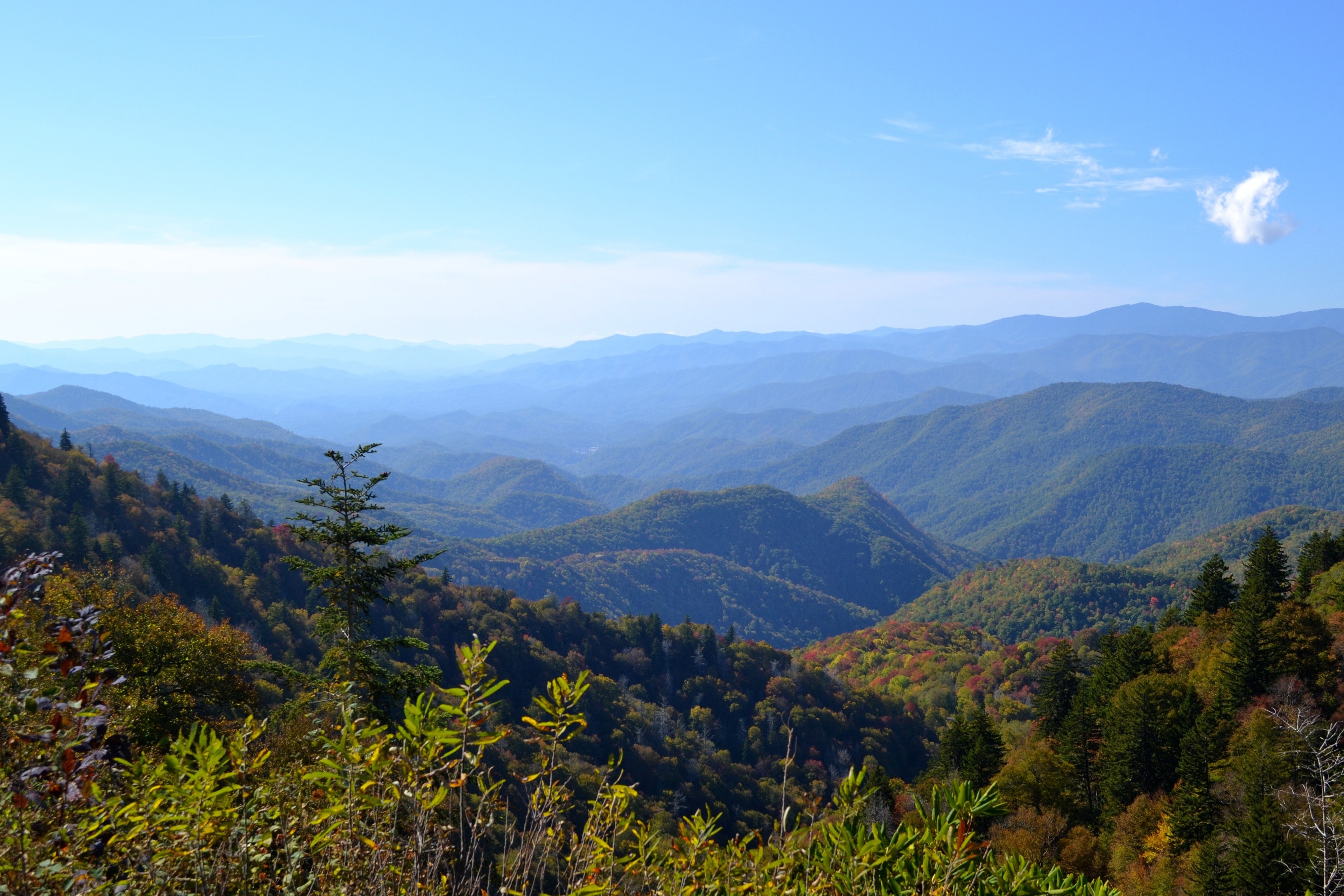THE 15 BEST Things to Do in Blue Ridge (Updated 2024)