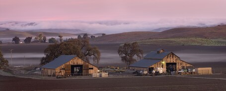 San Juan Bautista